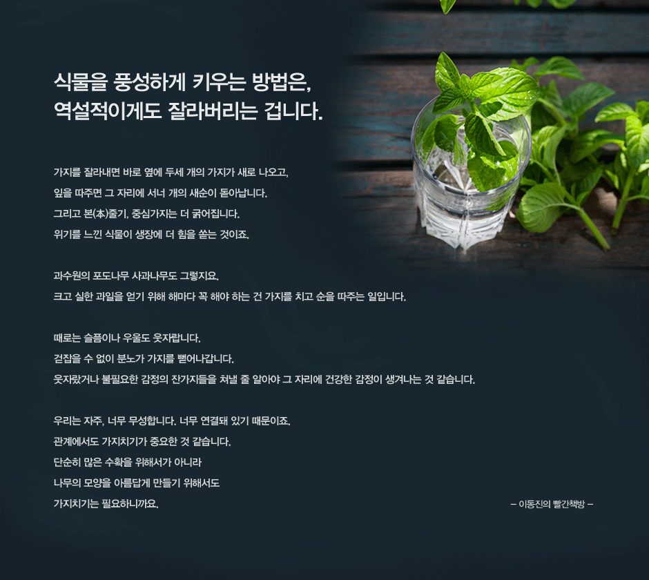 식물을 풍성하게 키우는 방법은
역설적이게도 잘라버리는 겁니다. 
가지를 잘라내면 바로 옆에 두세 개의 가지가 새로 나오고,
잎을 따주면 그 자리에 서너 개의 새순이 돋아납니다.
그리고 본래의줄기, 중심가지는 더 굵어집니다. 
위기를 느낀 식물이 생장에 더 힘을 쏟는 것이죠. 

과수원의 포도나무 사과나무도 그렇지요. 
크고 실한 과일을 얻기 위해 해마다 꼭 해야 하는 건 가지를 치고 순을 따주는 일입니다. 

때로는 슬픔이나 우울도 웃자랍니다. 
걷잡을 수 없이 분노가 가지를 뻗어나갑니다. 
웃자랐거나 불필요한 감정의 잔가지들을 쳐낼 줄 알아야 그 자리에 건강한 감정이 생겨나는 것 같습니다.  

우리는 자주, 너무 무성합니다. 너무 연결돼 있기 때문이죠. 
관계에서도 가지치기가 중요한 것 같습니다. 
단순히 많은 수확을 위해서가 아니라 
나무의 모양을 아름답게 만들기 위해서도 
가지치기는 필요하니까요. 